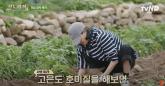 tvN '삼시세끼'서 감자 캐던 김고은이 입은 후드티... 800만원대 샤넬 옷